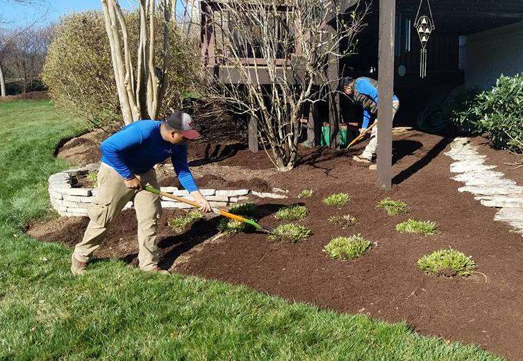 landscape maintenance team rake mulch in landscape bed