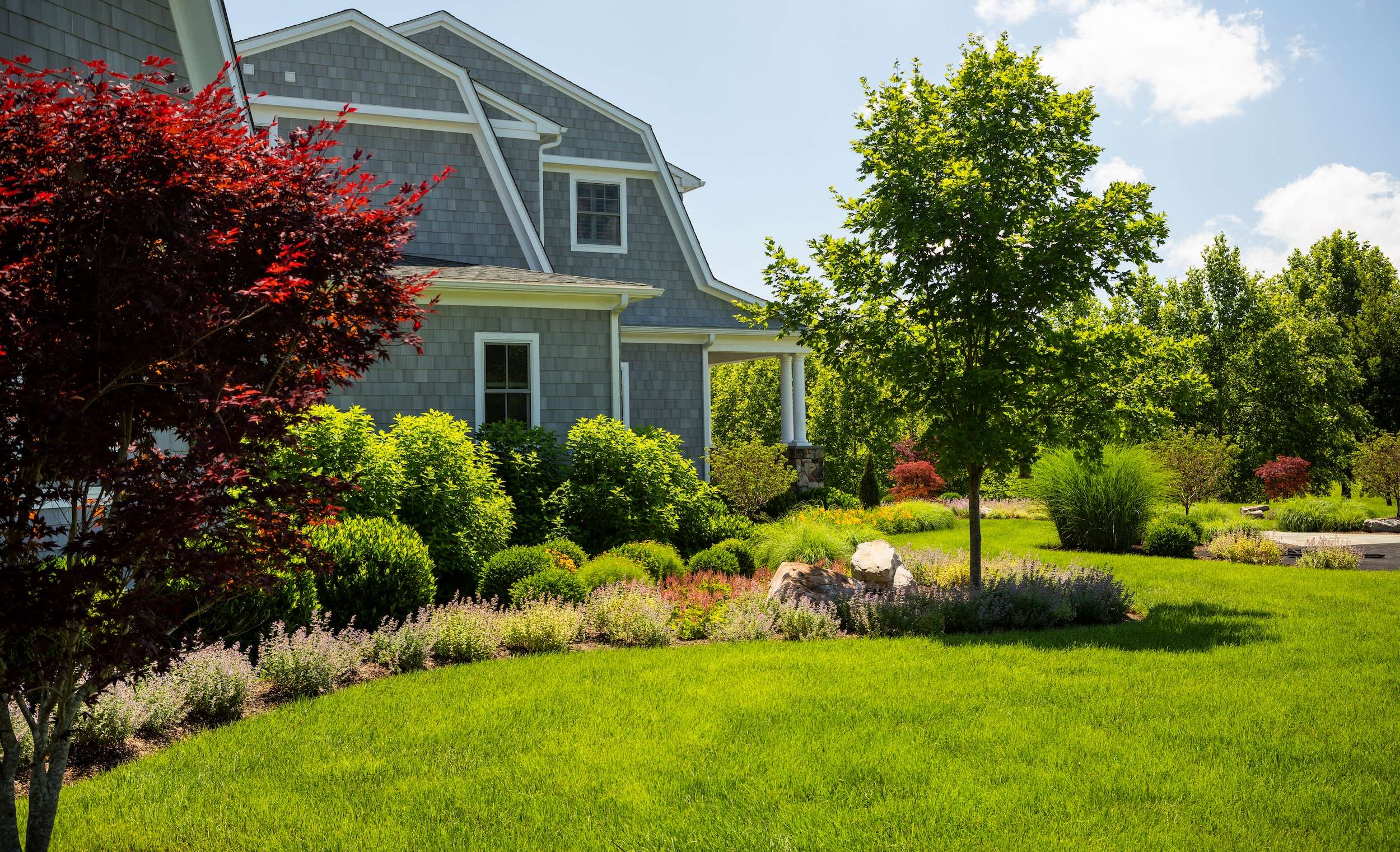 healthy plantings and lawn