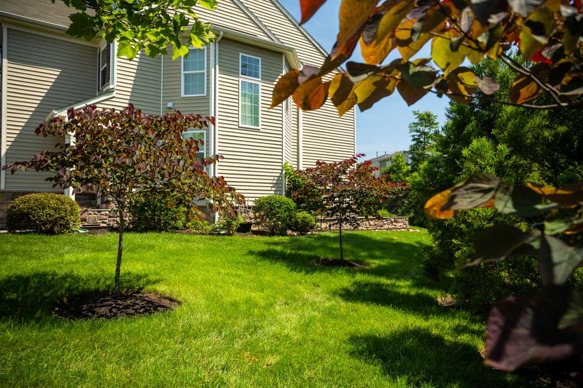 TruGreen vs. Rock Water Farm: 2 Lawn Care Options for Ashburn, Aldie, and Leesburg, VA