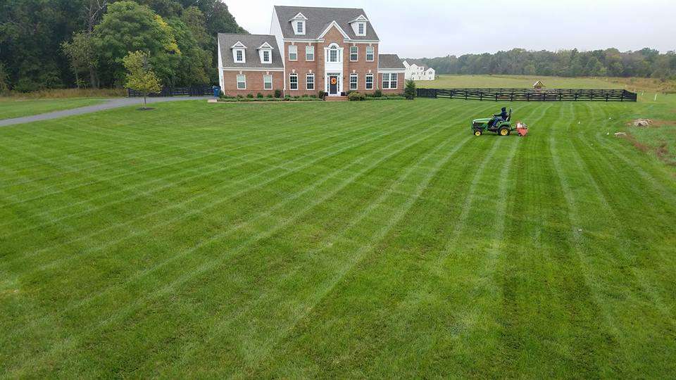 DIY Lawn Care vs. Professional: Is it Worth Hiring a Service in Ashburn, Aldie or Leesburg, VA?
