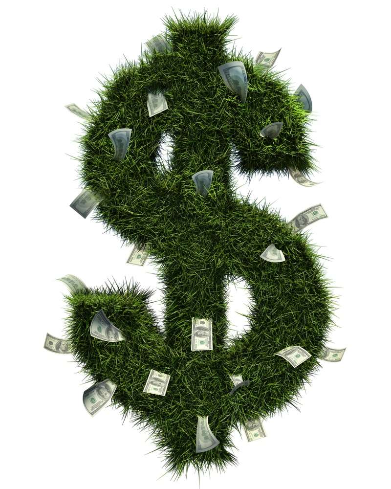 A Look at Lawn Care Prices and Packages in Ashburn, Aldie, and Leesburg, VA