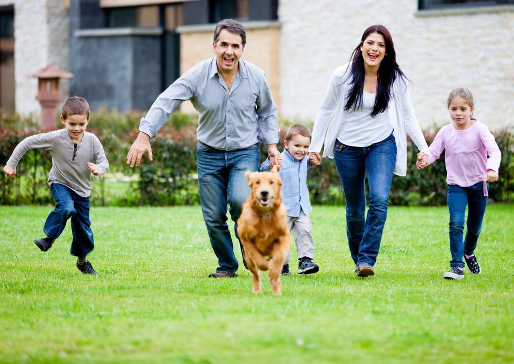 Exploring Pest Control Options for Spraying Ticks & Mosquitoes in Northern Virginia