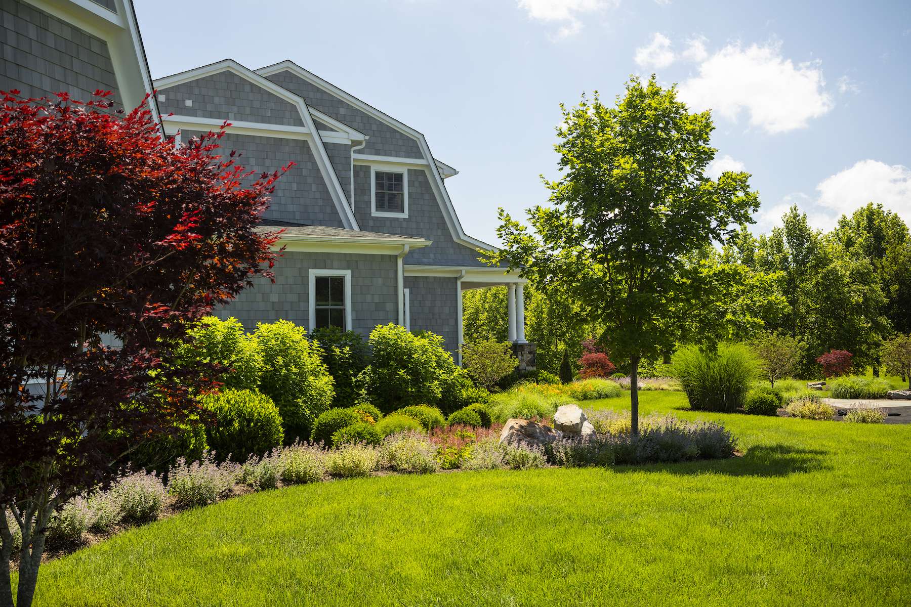 lawn plantings house